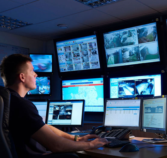 Alarm Monitoring Newmarket